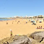 Appartement Solpraia - Animul